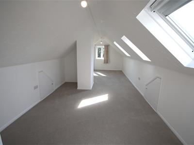 Picture 31